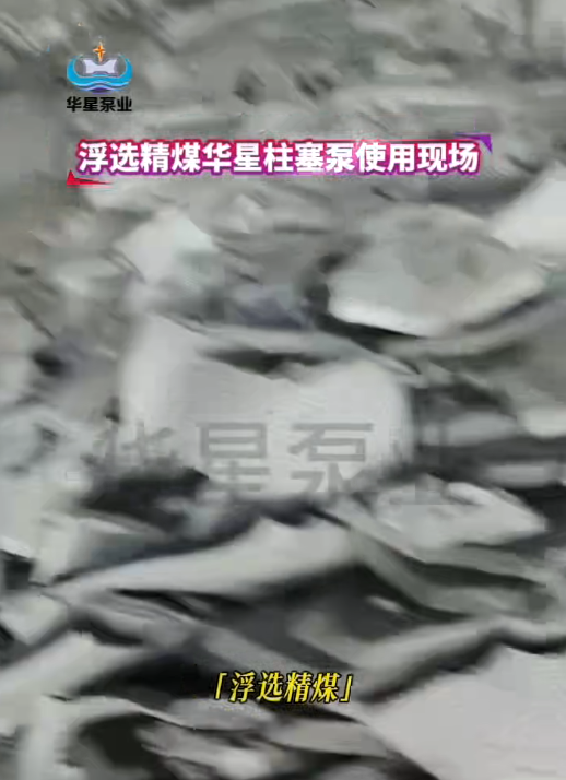 華星柱塞泵浮選精煤客戶(hù)展示